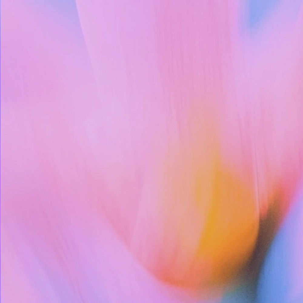 The Hello Lucia Waitlist Is Live article image